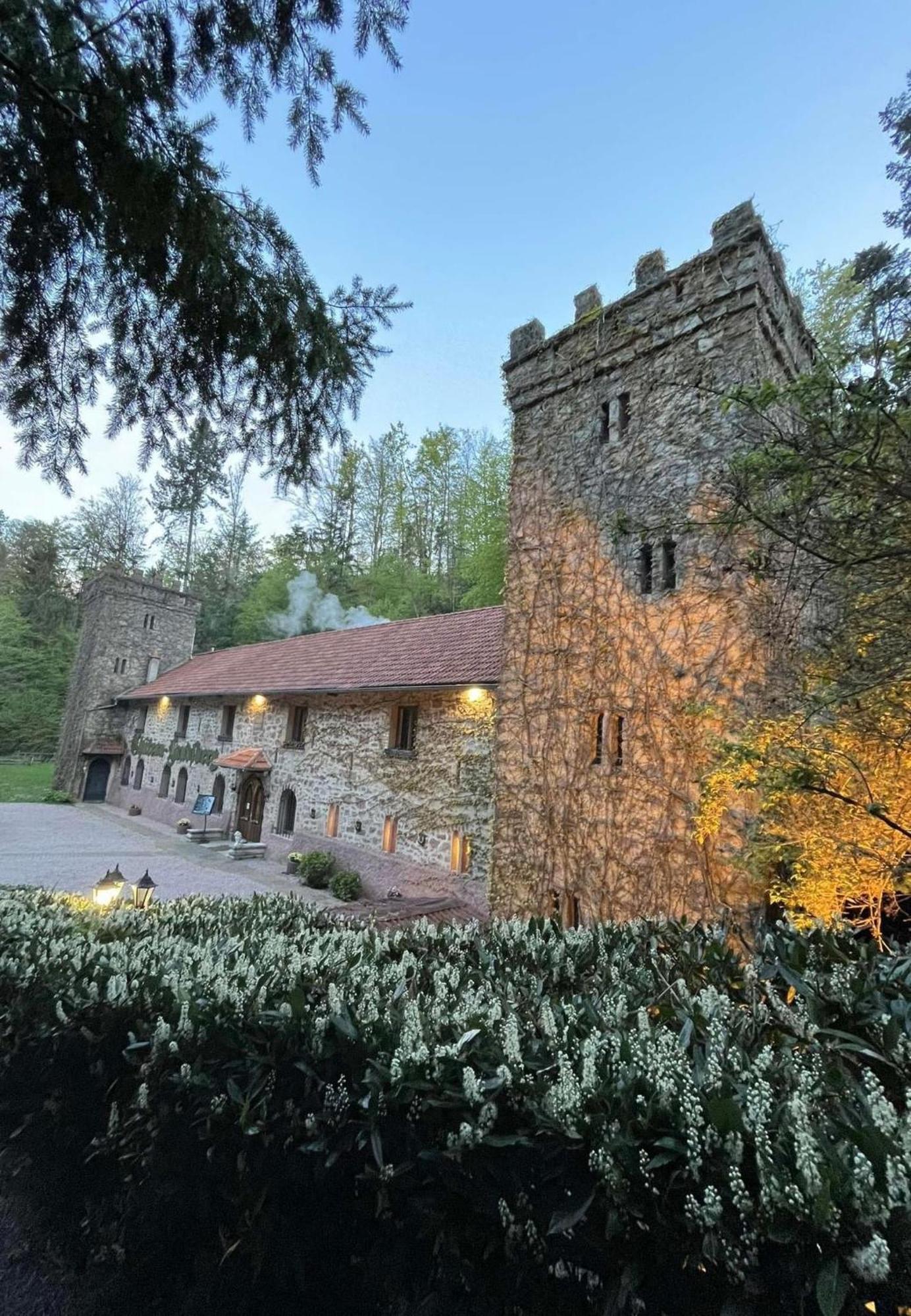 Le Chateau Du Landsberg Barr Bagian luar foto