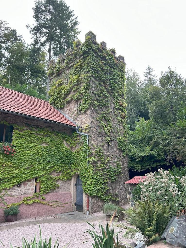 Le Chateau Du Landsberg Barr Bagian luar foto